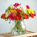Easy Growing Garden Flowers product image
