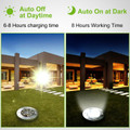Solarek® Solar-Powered Outdoor Pathway Light (4- or 8-Pack) product image