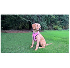 FurHaven™ Soft and Comfy Mesh Dog Harness product image