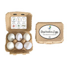 Resurrection Eggs - Easter Week Story & Activity Kit product image