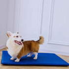 Self Cooling Mat for Pets product image