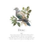 Monthly Birds Wall Art Prints product image