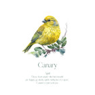 Monthly Birds Wall Art Prints product image