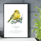 Monthly Birds Wall Art Prints product image