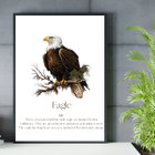 Monthly Birds Wall Art Prints product image