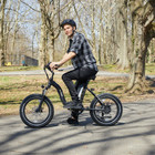 GoCruiser™ Folding Fat Tire Electric Bike with Removable Battery & 750W Motor product image