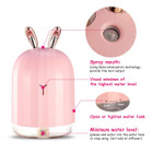 iMounTEK® 220ml Cool Mist Humidifier product image