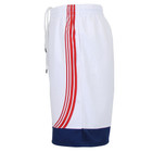 Men's Moisture-Wicking Premium Basketball Shorts product image