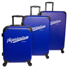 Aquascutum® Hardside Spinner Luggage Suitcases (Set of 3) product image