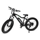 GoSpeed™ Fat Electric Bike with Removable Li-Ion Battery & 750W Motor product image