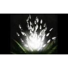 Solarek® 60-LED Branch Leaf Solar Garden Light (3-Pack) product image