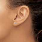 Stainless Steel Polished 4mm Round CZ Stud Post Earrings product image