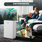 True HEPA Carbon Filter Air Purifier product image