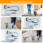 iMounTEK 3-Dog Training Leash product image