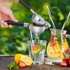 Extra Large Citrus Squeezer in Stainless Steel product image