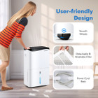 100-Pint Dehumidifier with Smart App and Alexa Control product image
