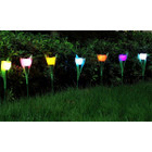 Solarek Solar Garden Flower Light Set product image