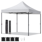 10 x 10-Foot Portable Pop Up Canopy with Roller Bag & 4 Sand Bags product image
