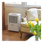 40-Pint Energy Efficient Direct Drain Dehumidifier product image