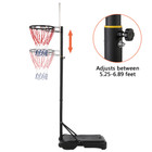 Portable Adjustable Youth Basketball Stand product image