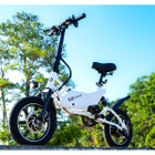 GoSpyder™ Electric Spyder Bike product image