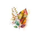 Fall Foliage Art Prints (Set of 4) product image