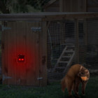 LakeForest® Solar Animal Control Light (4-Pack) product image