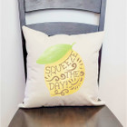 18 x 18-Inch Farmhouse Summertime Pillow Covers product image