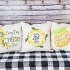 18 x 18-Inch Farmhouse Summertime Pillow Covers product image