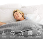 BlanQuil® Basic Weighted Blanket (12- or 15-Pound) product image