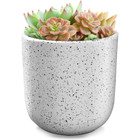 Indoor/Outdoor Speckled Ceramic Pot for Plants product image