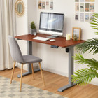48-Inch Electric Height-Adjustable Standing Desk with Control product image