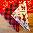 Festive Canine Cheer Gift Bag for the Ultimate Furry Enthusiast product image