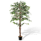 63-Inch Indoor Potted Artificial Ficus Tree product image