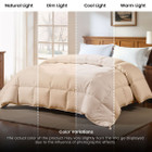 Hypoallergenic Luxury Goose Down-Alternative Comforter product image