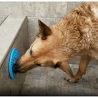 Threaded Pear Dog Distraction Lick Mat product image