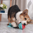 Treat Dispensing Dog Pull Toy product image