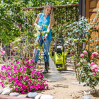 Sun Joe SPX3000® -xt Xtream Clean Electric Pressure Washer product image