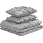 Lightweight Microfiber Pinch-Pleated Duvet Cover Set by Amazon Basics® product image