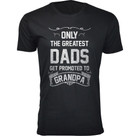 The Greatest Dads Get Promoted T-Shirts product image