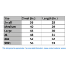 Men’s Football Champions New England T-Shirts product image