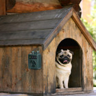 iMounTEK® Ultrasonic Anti-Barking Device product image