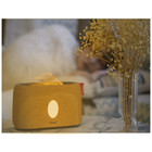 GeeFire Aroma Diffuser Flame Fireplace product image