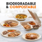 Cheer Collection® 7-Inch Biodegradable Compostable Paper Plate (200- to 1,000-Pack) product image