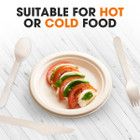 Cheer Collection® 7-Inch Biodegradable Compostable Paper Plate (200- to 1,000-Pack) product image
