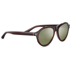 Serengeti® DANBY Pilot Shape Sunglasses product image