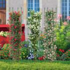 Adjustable Plant Support Tomato Cage (2-Pack) product image