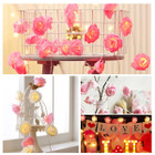 iMounTEK® Rose Flower String Lights (2-Pack) product image