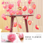 iMounTEK® Rose Flower String Lights (2-Pack) product image