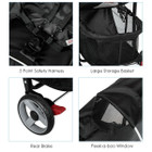 Travel Stroller for Airplane with Adjustable Backrest & Canopy product image